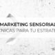 marketing sensorial