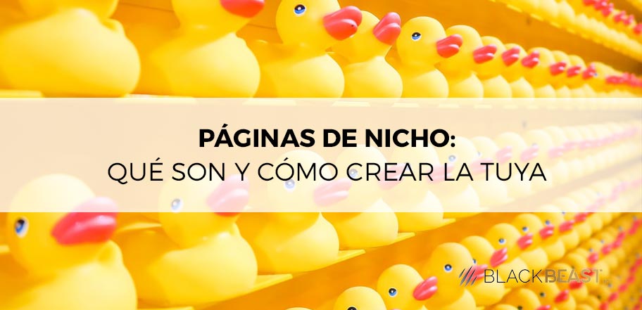 páginas nicho